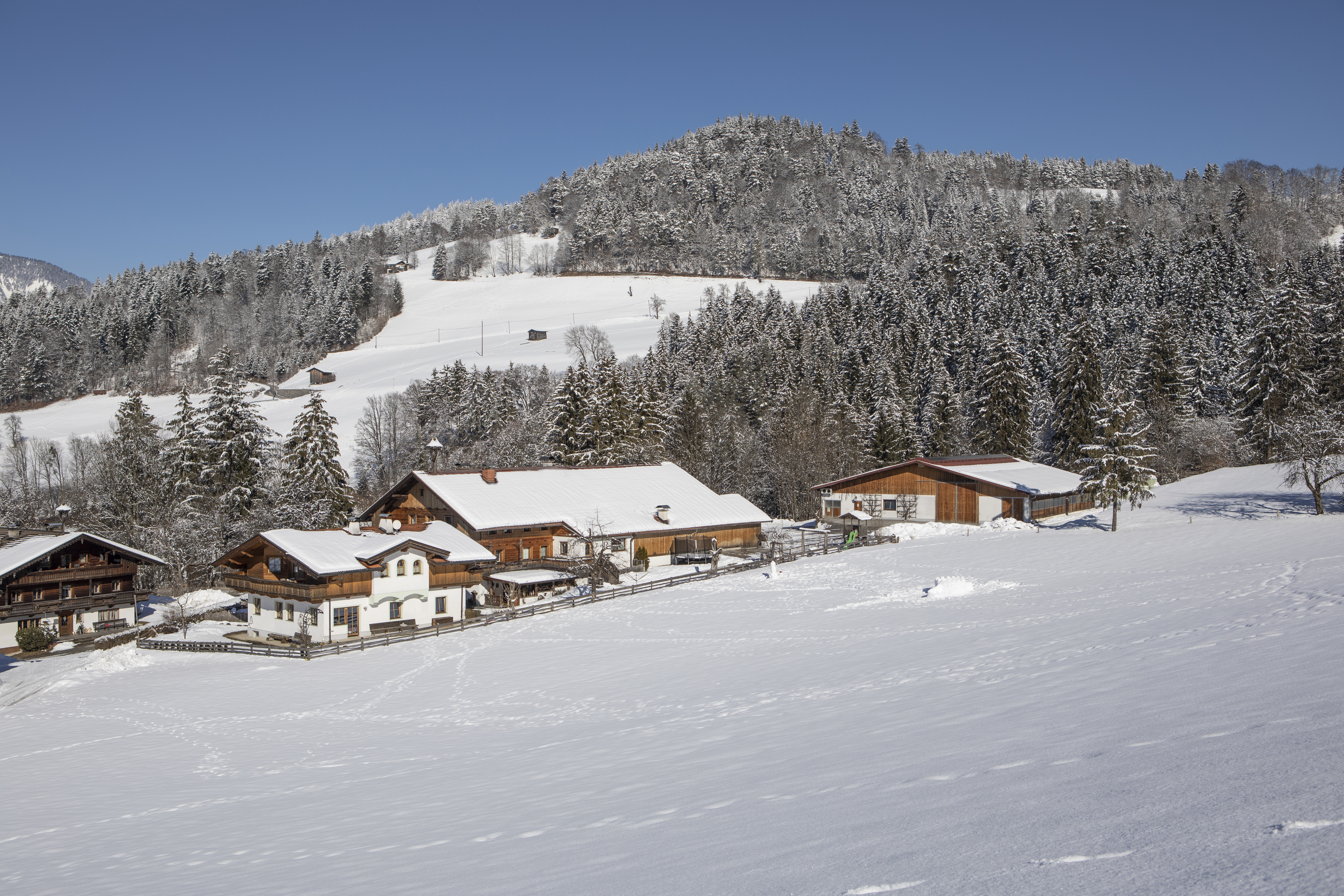 Ferien Bauernhof: Ein wahrer Wintertraum - Oberhaslachhof - Area esterna, inverno