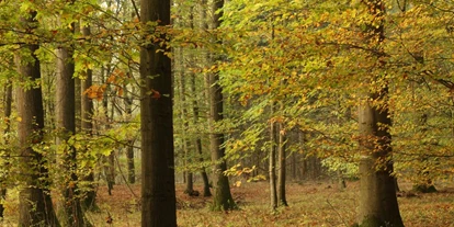 dovolenka na farme - absolute Ruhelage - Rakúsko - Symbolbild für Urlaub auf einem Bauernhof - Oberhaslachhof