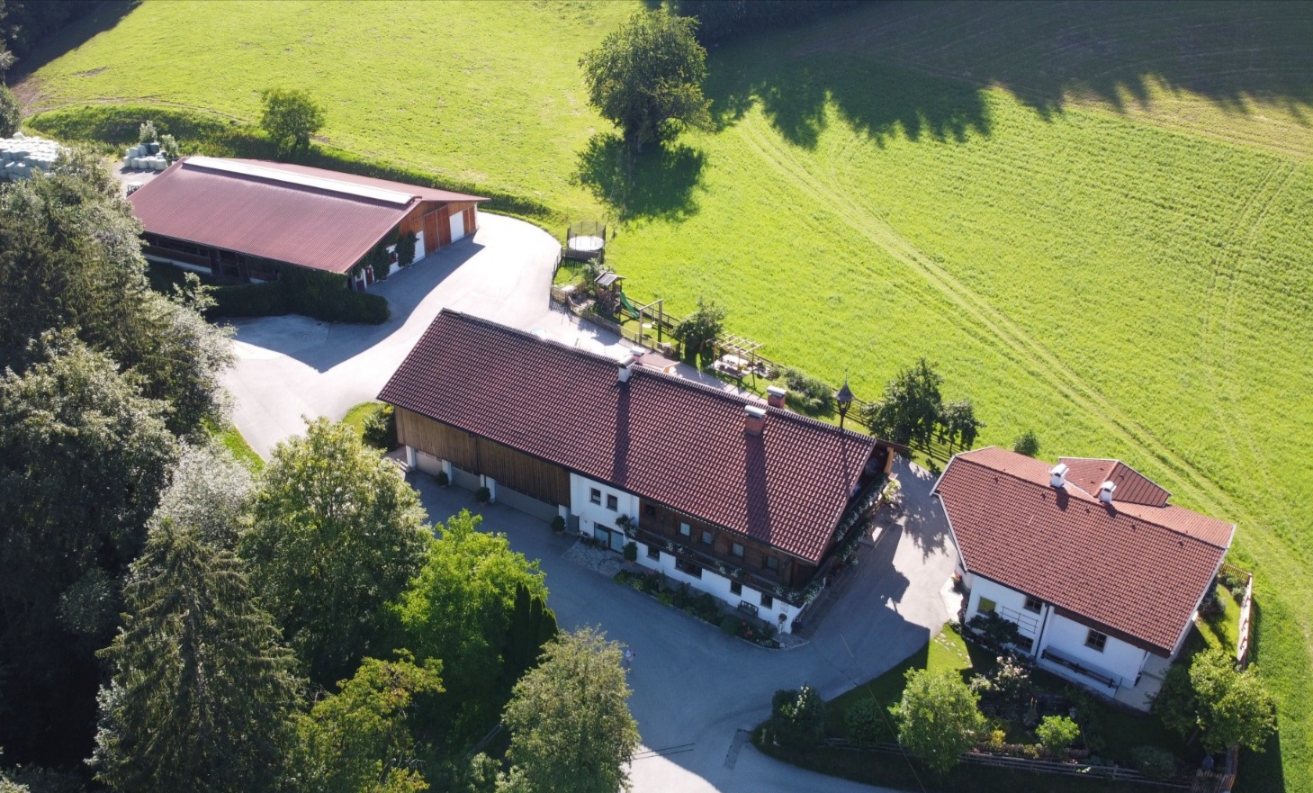 vakantie op de boerderij - Streichelzoo - Oostenrijk - Mitten im Grünen gelegen - Oberhaslachhof