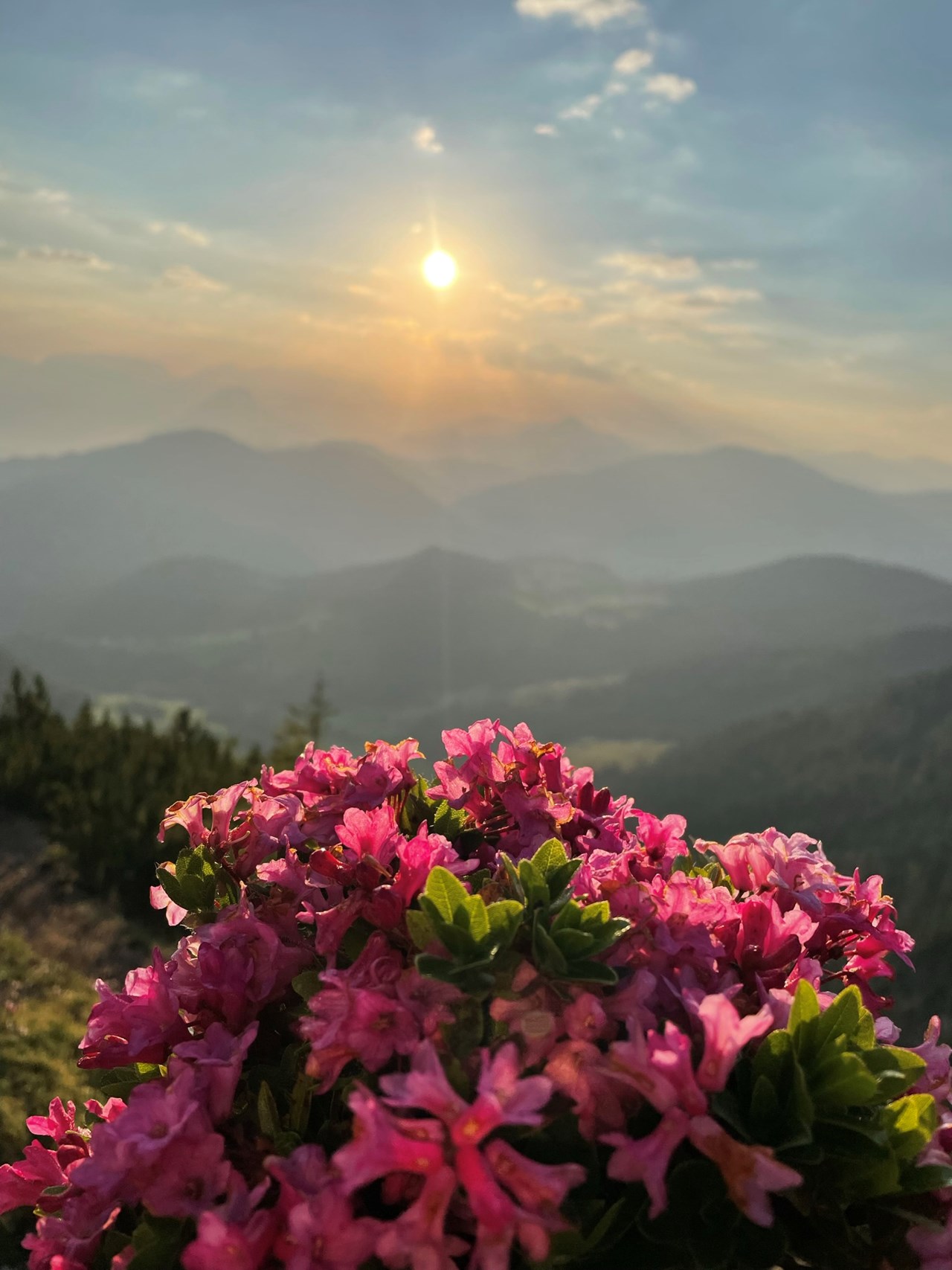 Oberhaslachhof Destinazioni Funivia del Wiedersbergerhorn