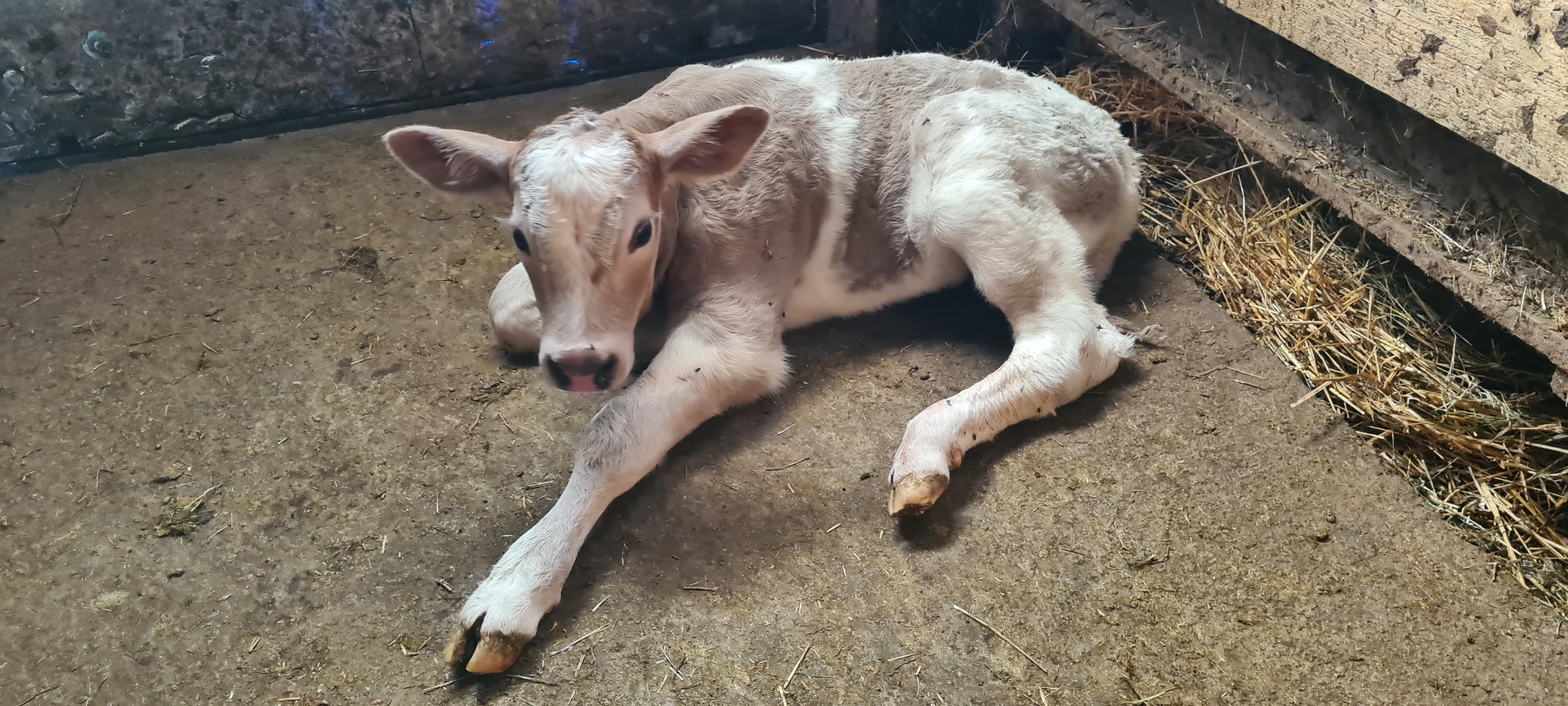 Urlaub auf dem Bauernhof - Lagerfeuerstelle - Ferienwohnungen Marion Moos