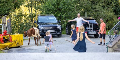 Urlaub auf dem Bauernhof - Urlaub auf der Alm - Beim "Kälber in den Stall zurück bringen" - Ferienwohnungen Perfeldhof