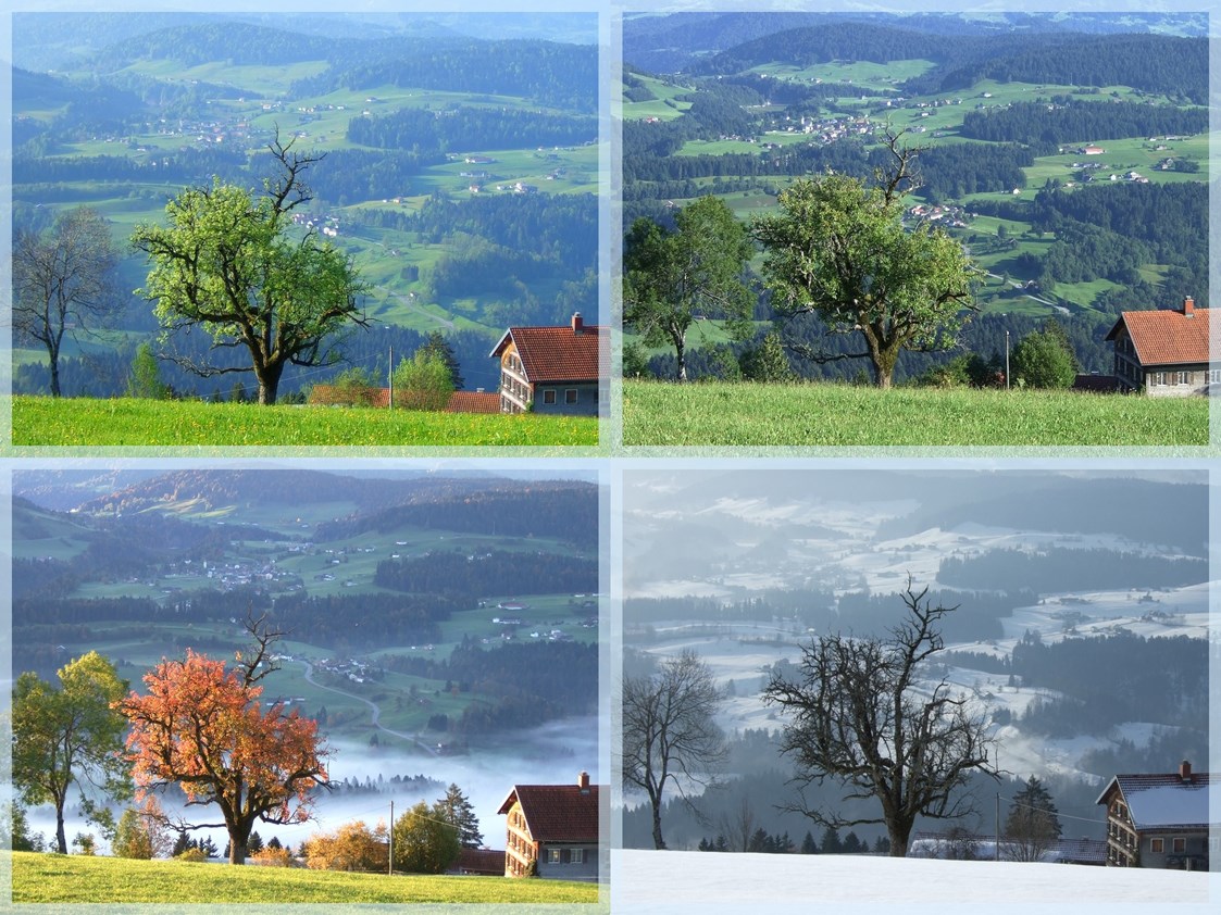 Ferien Bauernhof: Zu jeder Jahreszeit ein schöner Blick ins Tal und zu den Bergen. - Haus Adlerhorst