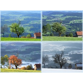 Ferien Bauernhof: Zu jeder Jahreszeit ein schöner Blick ins Tal und zu den Bergen. - Haus Adlerhorst