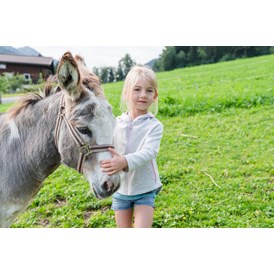 Ferien Bauernhof: Esel auf der Weide - Bio-Familienbauernhof Göttfriedbauer