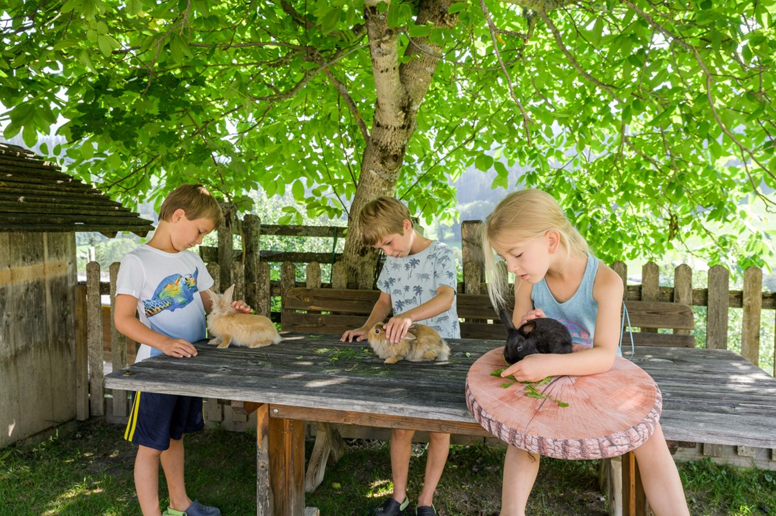 Ferien Bauernhof: Spielen mit den Tieren - Bio-Familienbauernhof Göttfriedbauer