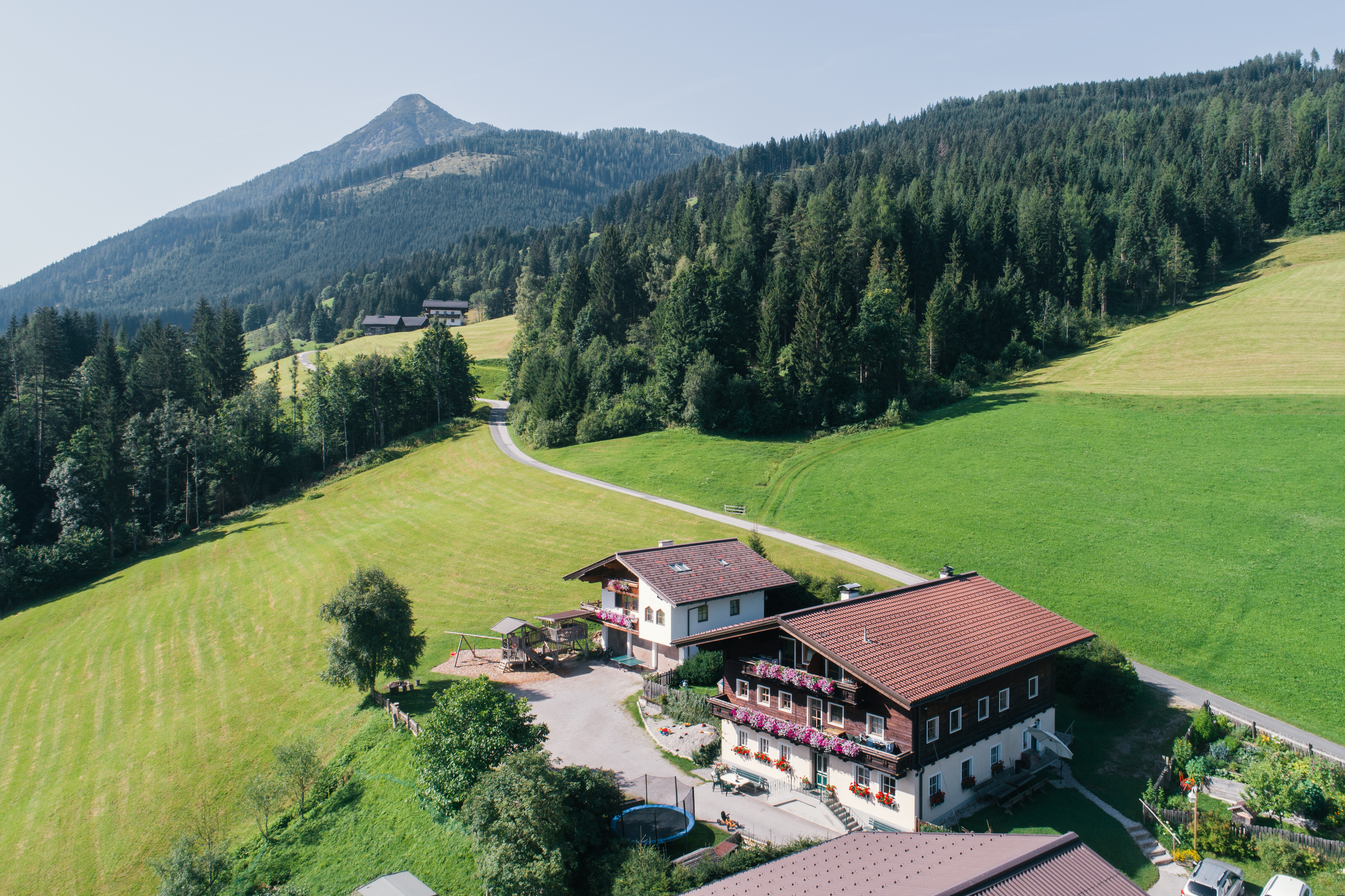 vakantie op de boerderij - Streichelzoo - Oostenrijk - Aussicht auf den Hausberg Lackenkogel - Familienbauernhof Göttfriedbauer
