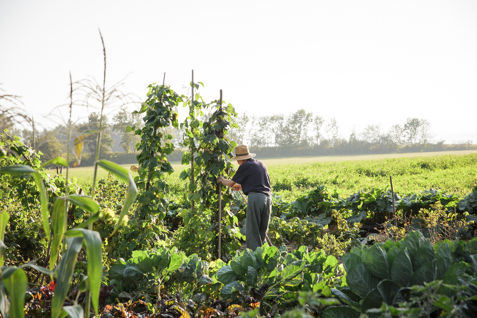 Ferien Bauernhof: Schlossgut Gundersdorf