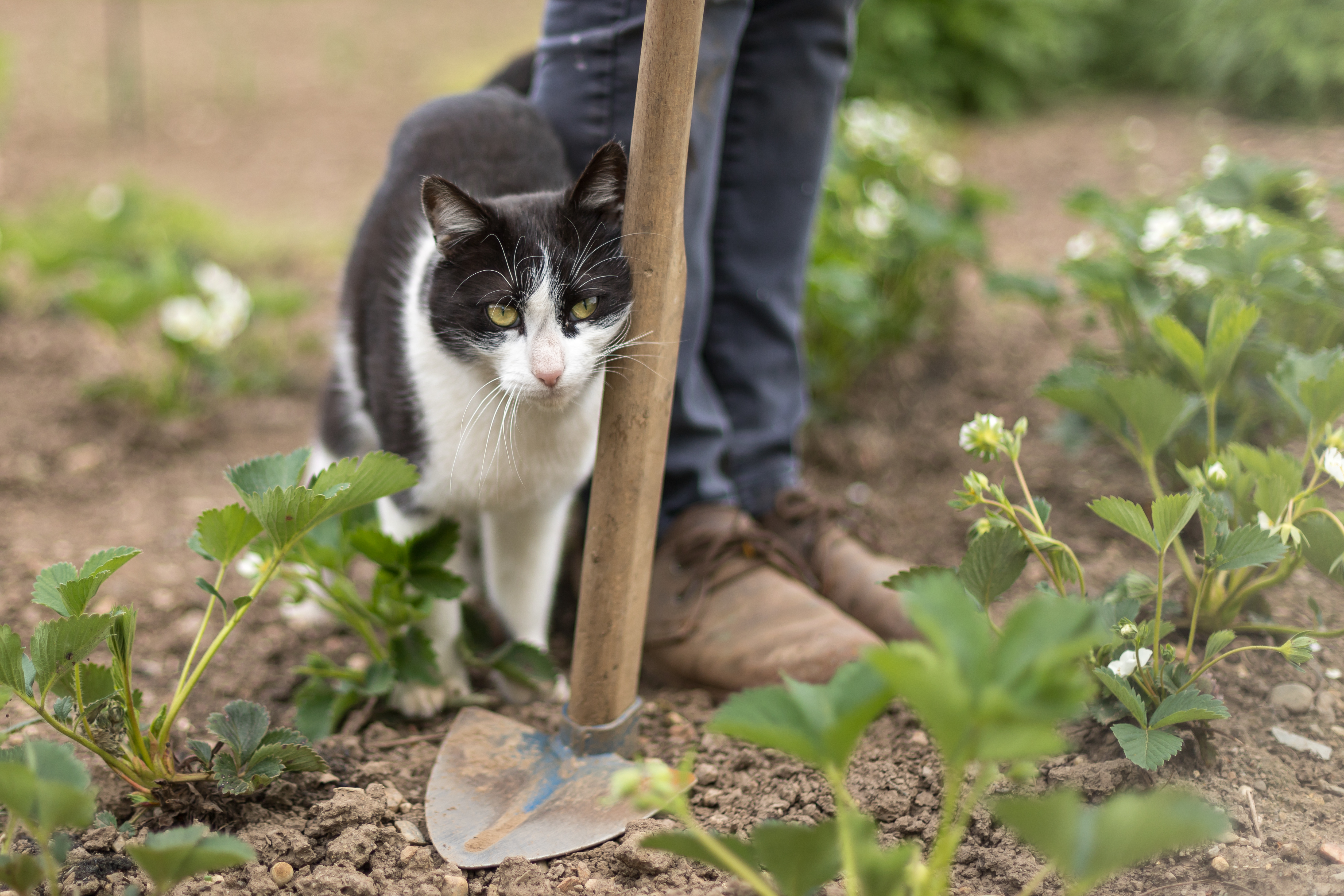 Ferien Bauernhof: Schlossgut Gundersdorf