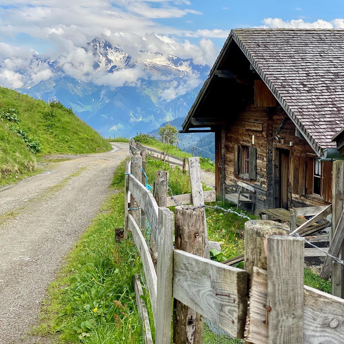 Ferien Bauernhof: unsere hofeigene Alm - Freihaushof