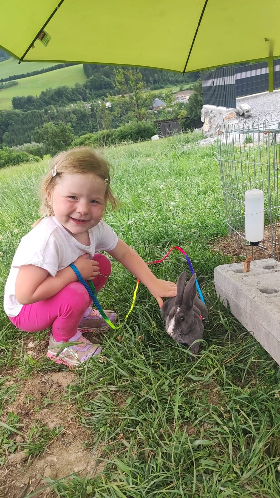 Bauernhof Sonnenhuab  Nos animaux notre lapin Flecki
