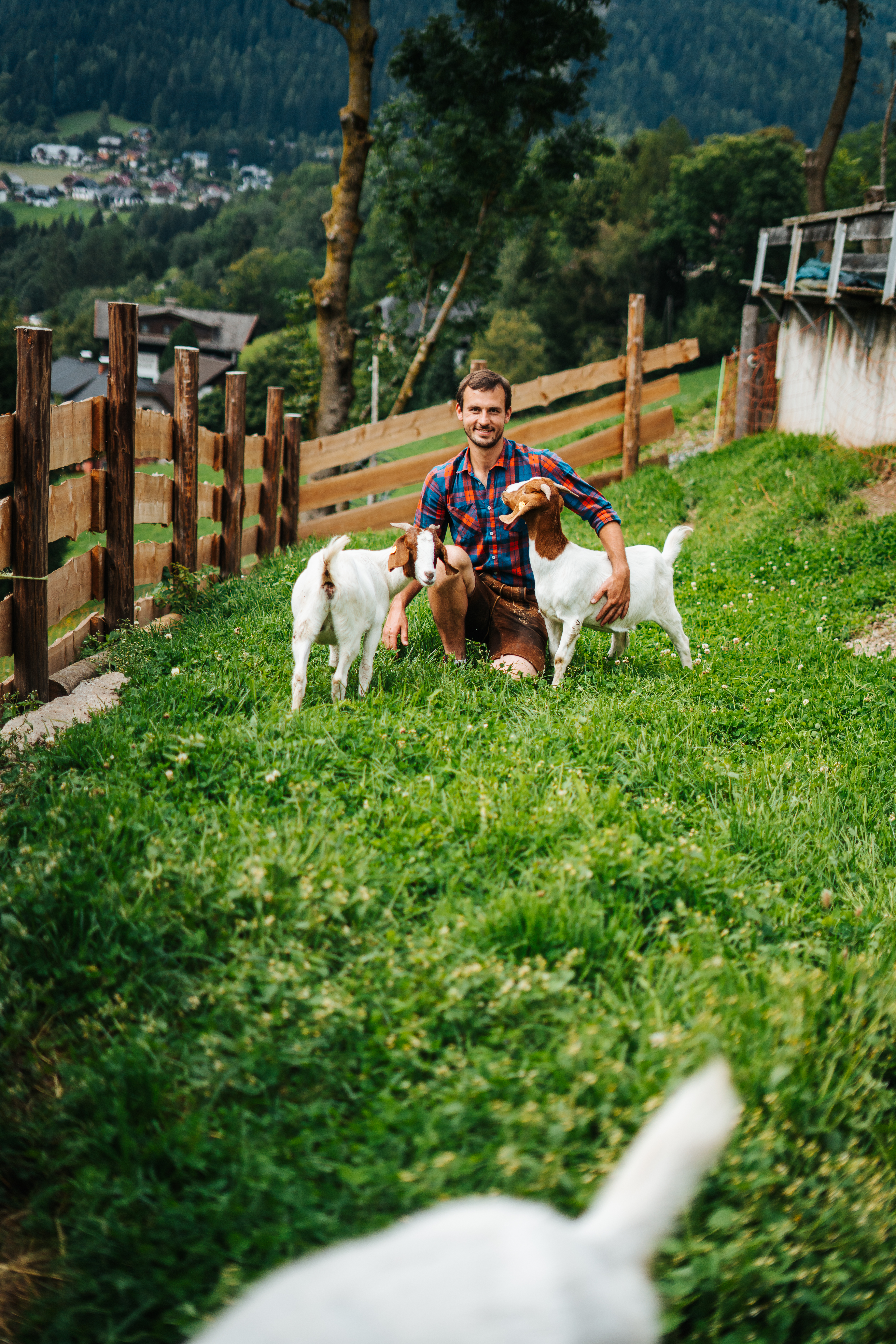 Urlaub auf dem Bauernhof - erreichbar mit: Bus - Malta (Malta) - Bauer Thomas  - Gutzingerhof