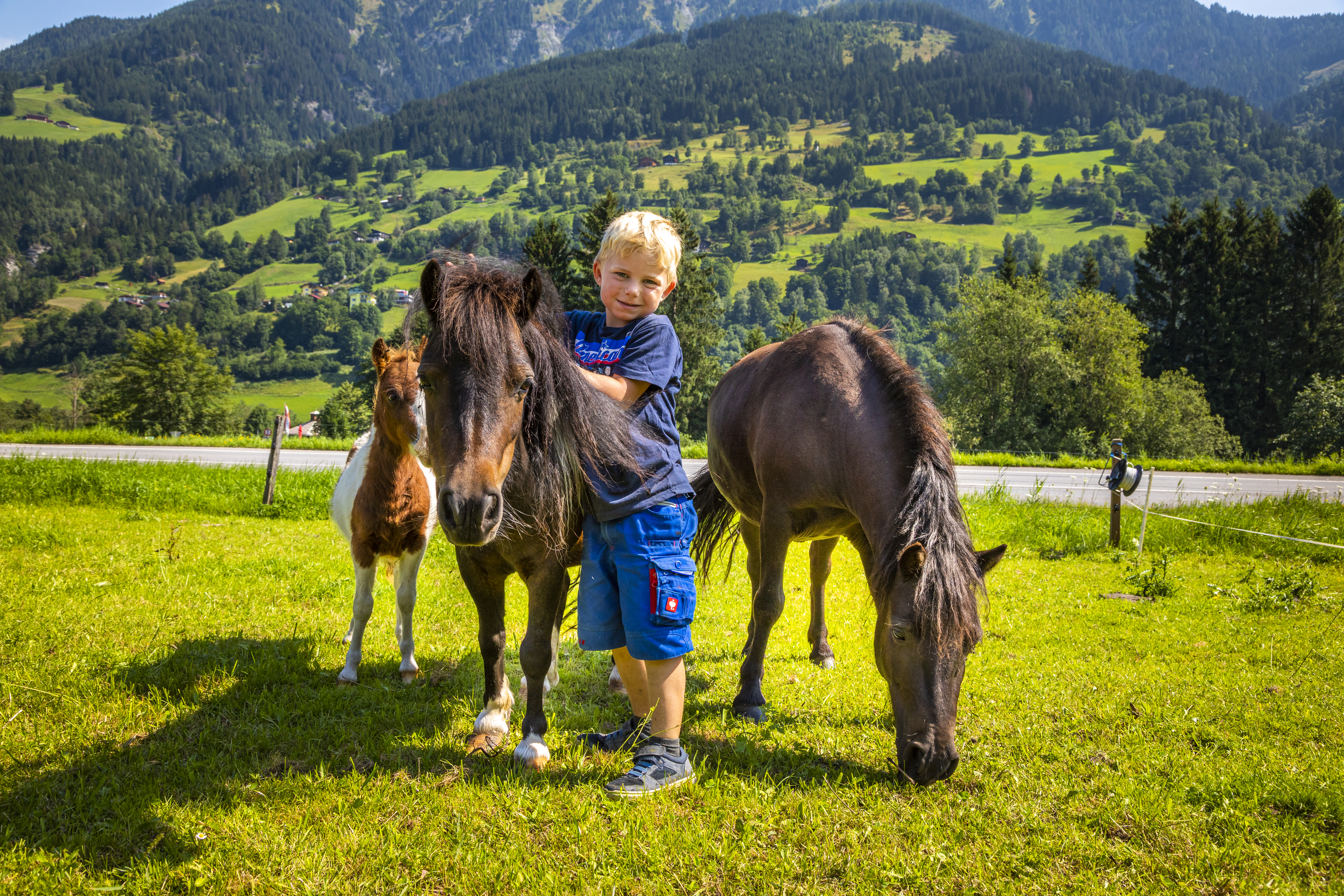 Bio-Bauernhof Schweizerhof unsere Tiere Ponys