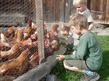 Jenneweinhof unsere Tiere Hühner