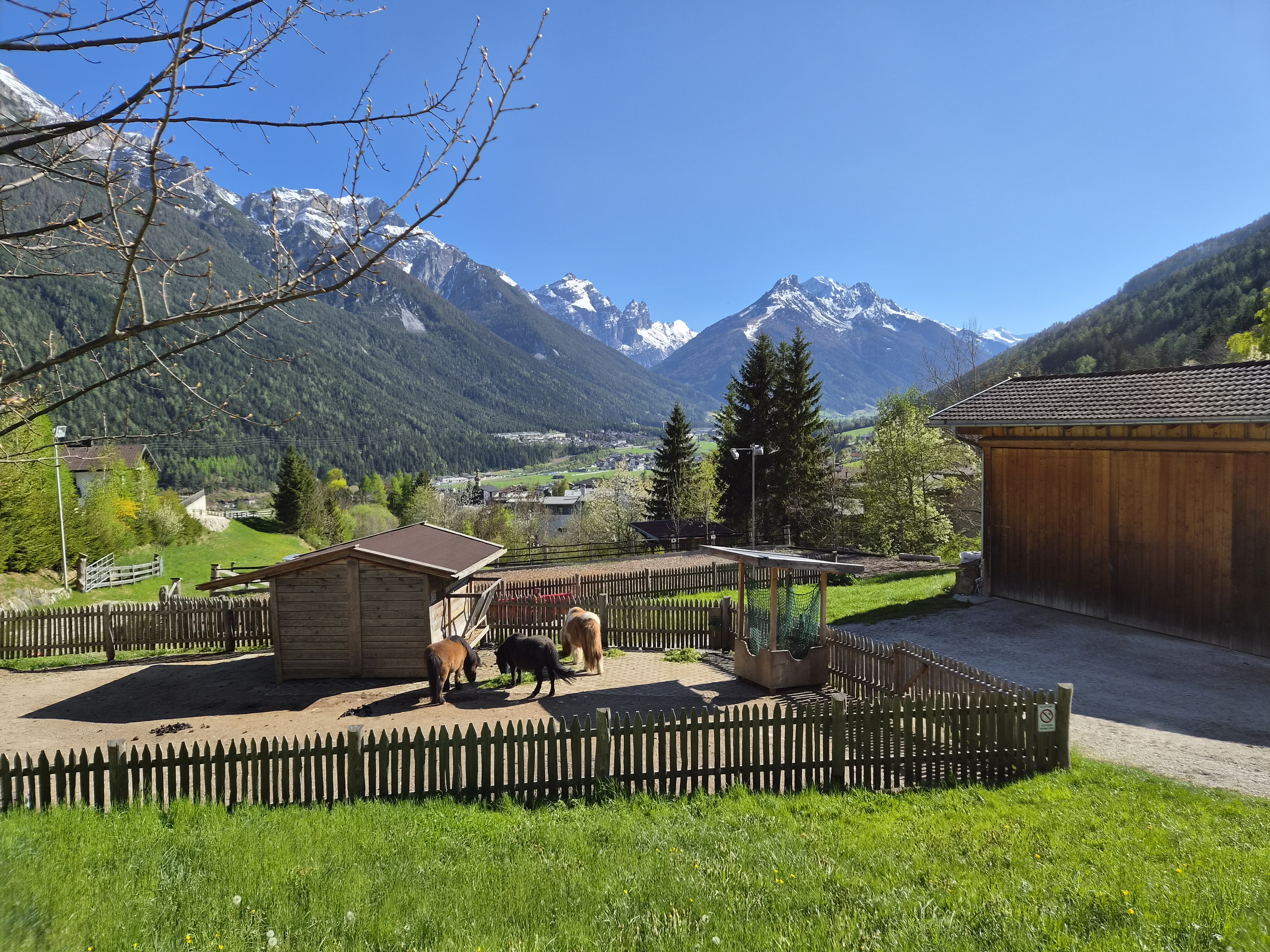 počitnice na kmetiji - Natters - Pony Koppel - KASSNHOF