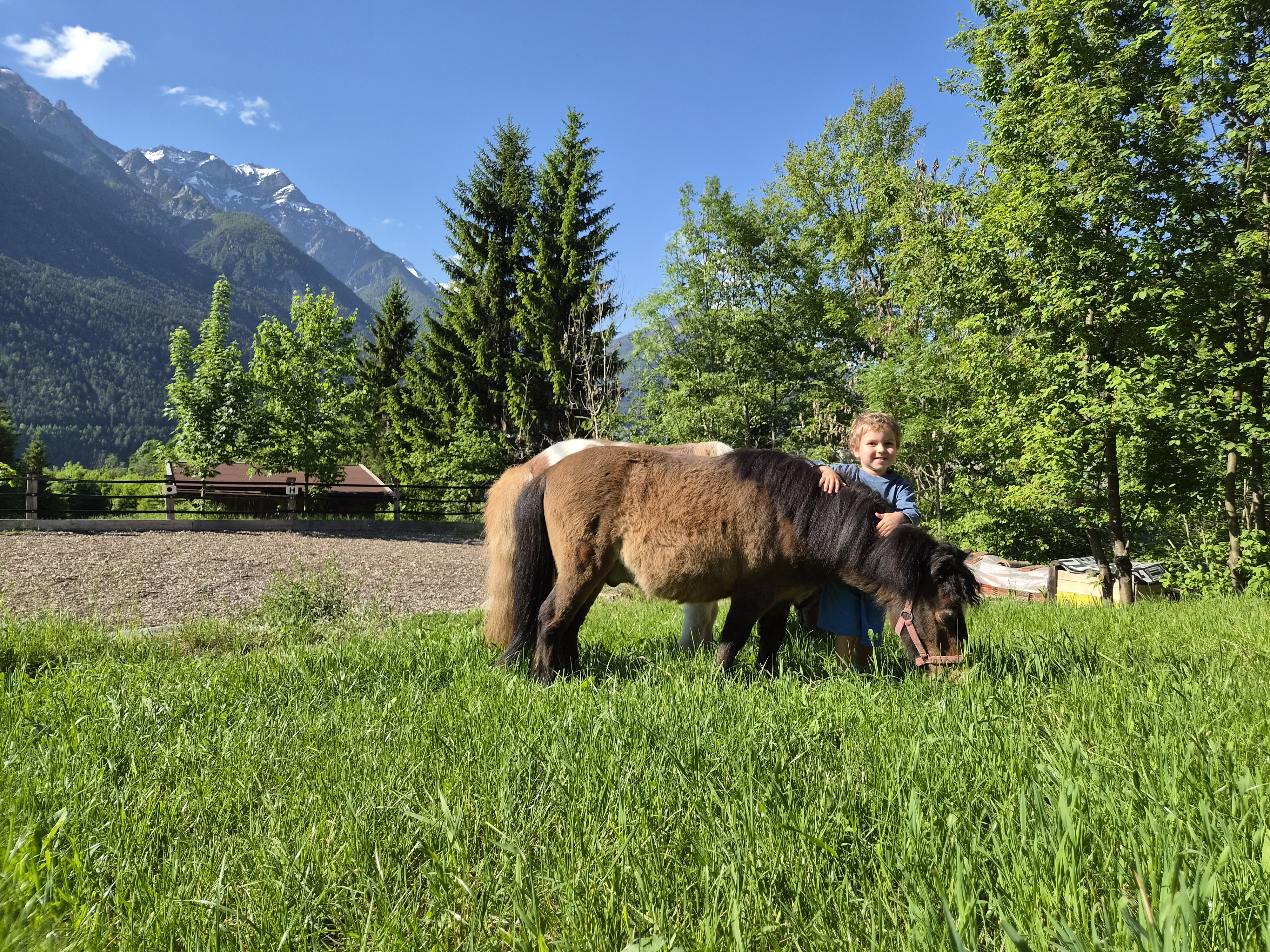 počitnice na kmetiji - Natters - Pony Billy - KASSNHOF