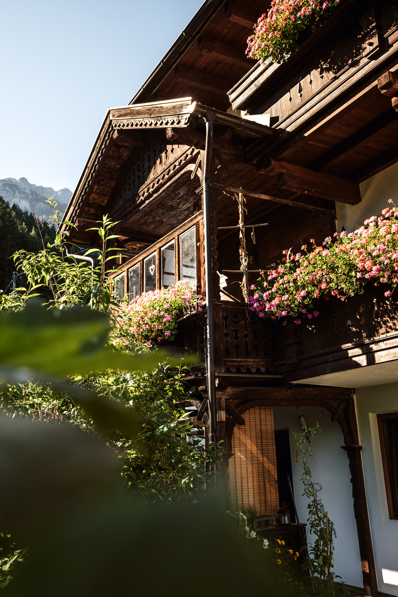 Ferien Bauernhof: KASSNHOF