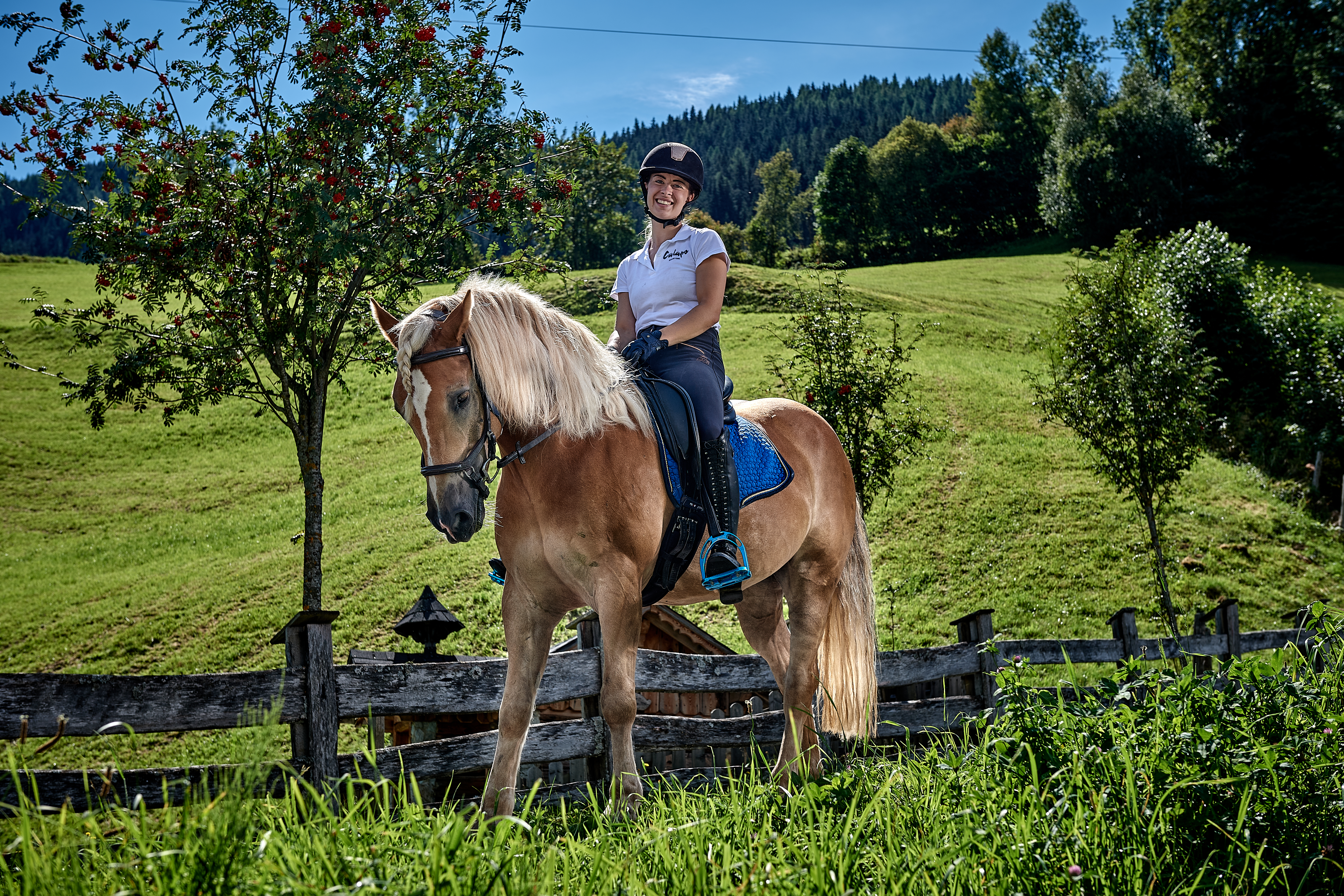 Urlaub auf dem Bauernhof - Bischofshofen - Reiten  - Bruckreiterhof