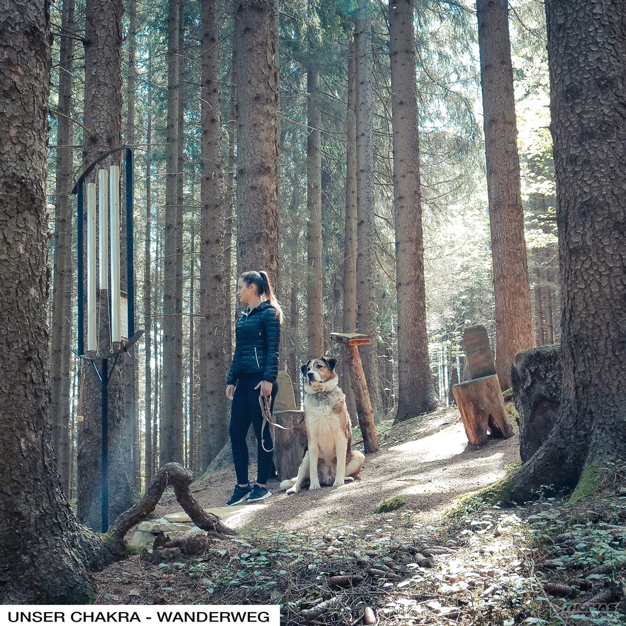 Hacknerhof  -  Bio- & Gesundheitsbauernhof Ausflugsziele Chakrenwanderweg