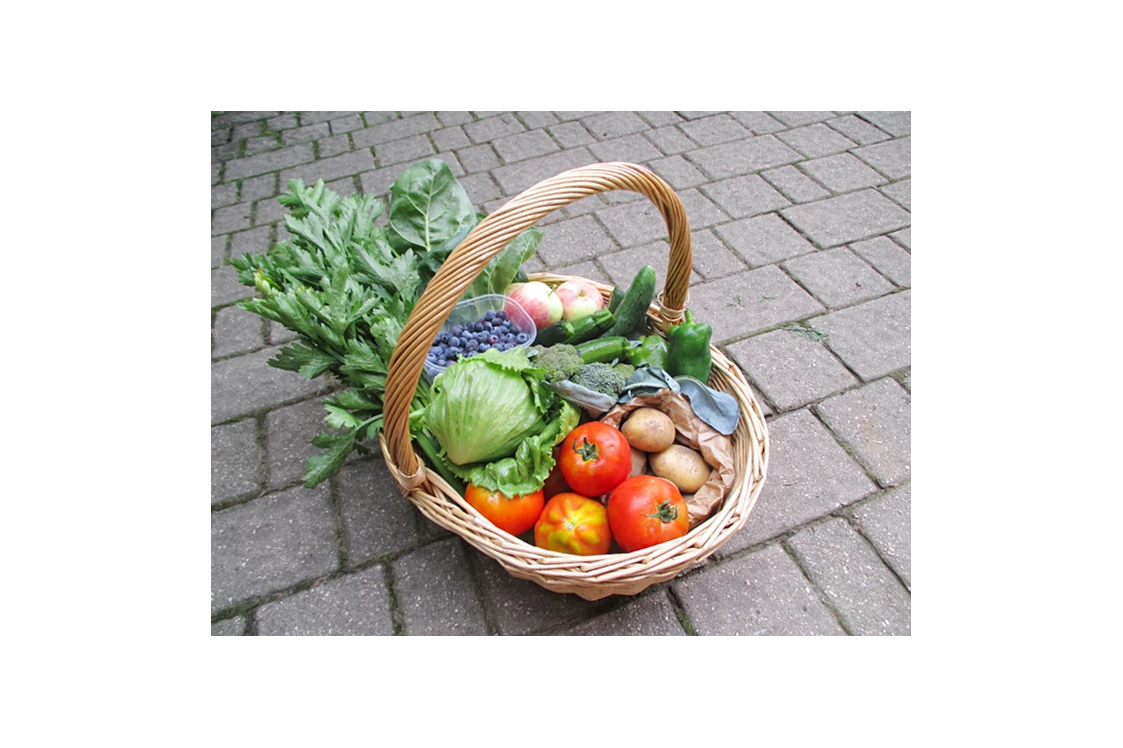 Ferien Bauernhof: Gemüsekorb unserer SoLawi - Bachguterhof