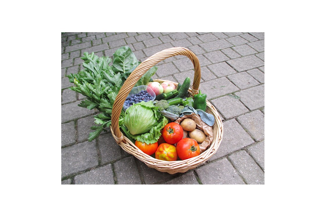 Ferien Bauernhof: Gemüsekorb unserer SoLawi - Bachguterhof