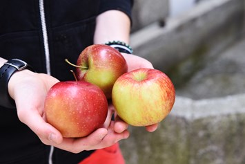 Ferien Bauernhof: Äpfel - Biogutshof Castel Campan