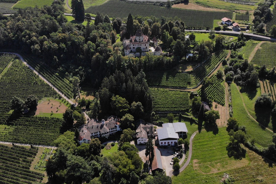 Ferien Bauernhof: umgeben von Wein und Apfel und doch Nahe an der Stadt Brixen - Biogutshof Castel Campan