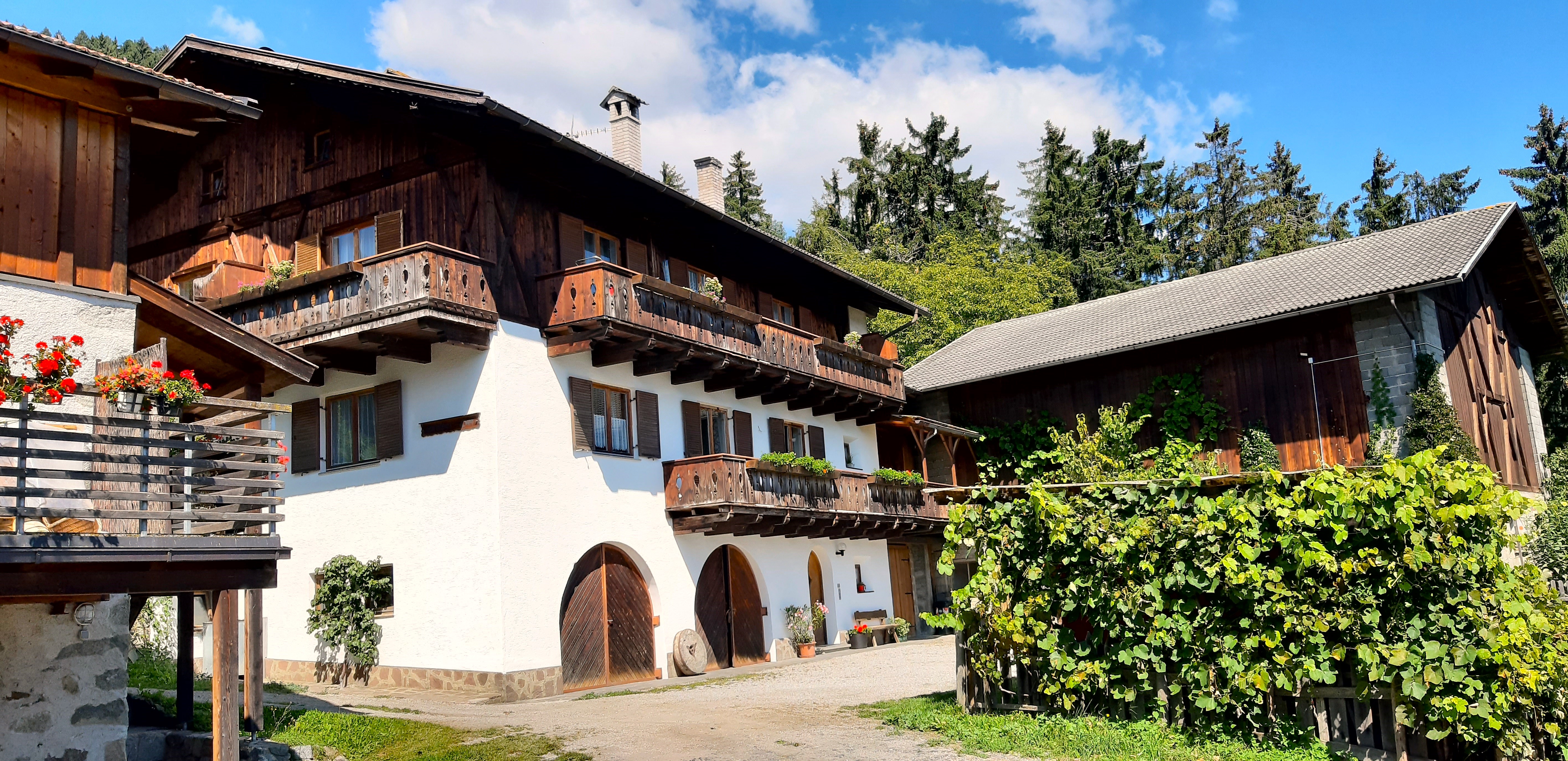 vacanza in fattoria - Frühstück - Stieberhof - Stieberhof - Chalet und Ferienwohnung mit Bergblick