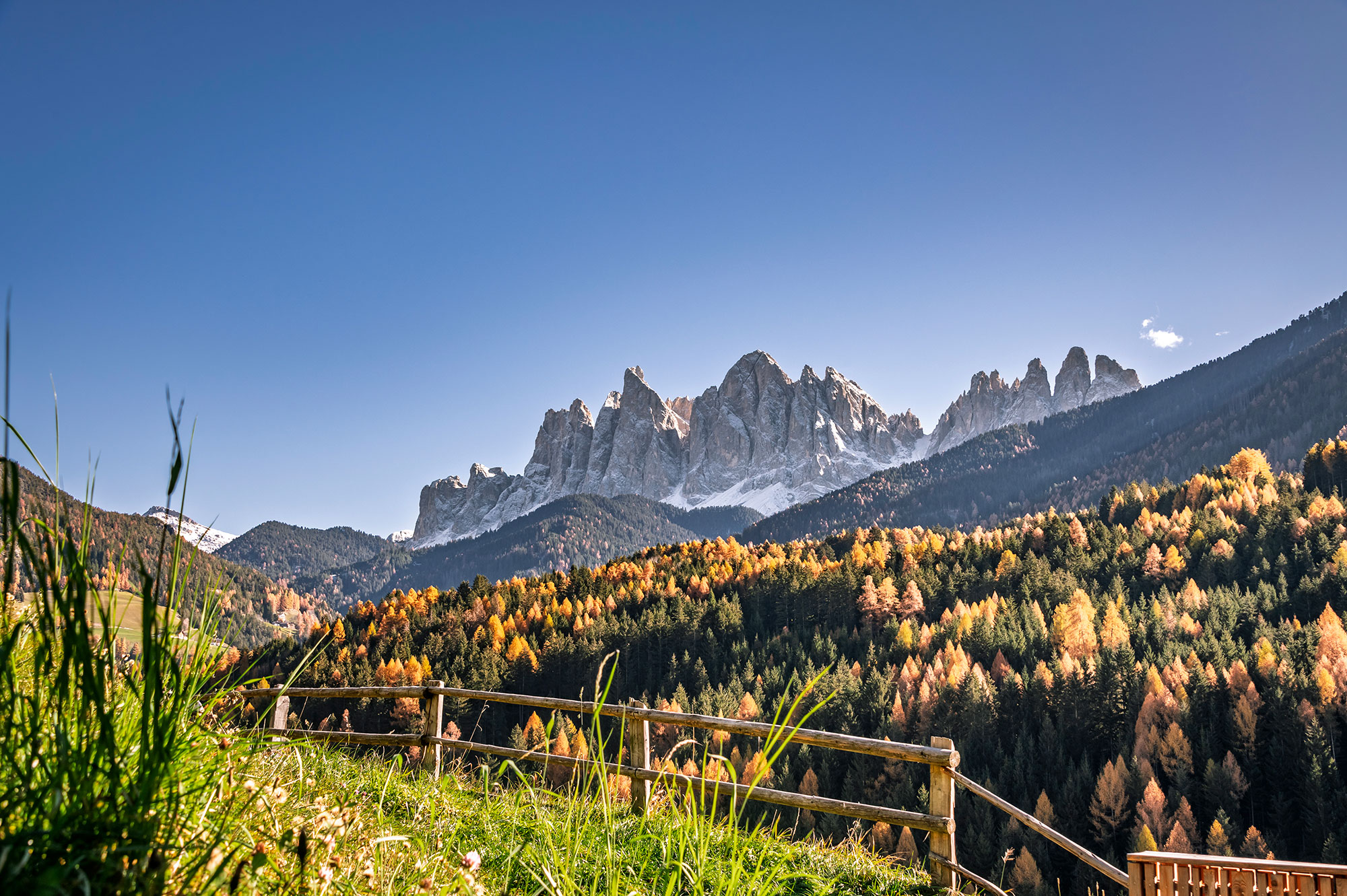 Ferien Bauernhof: Austillerhof