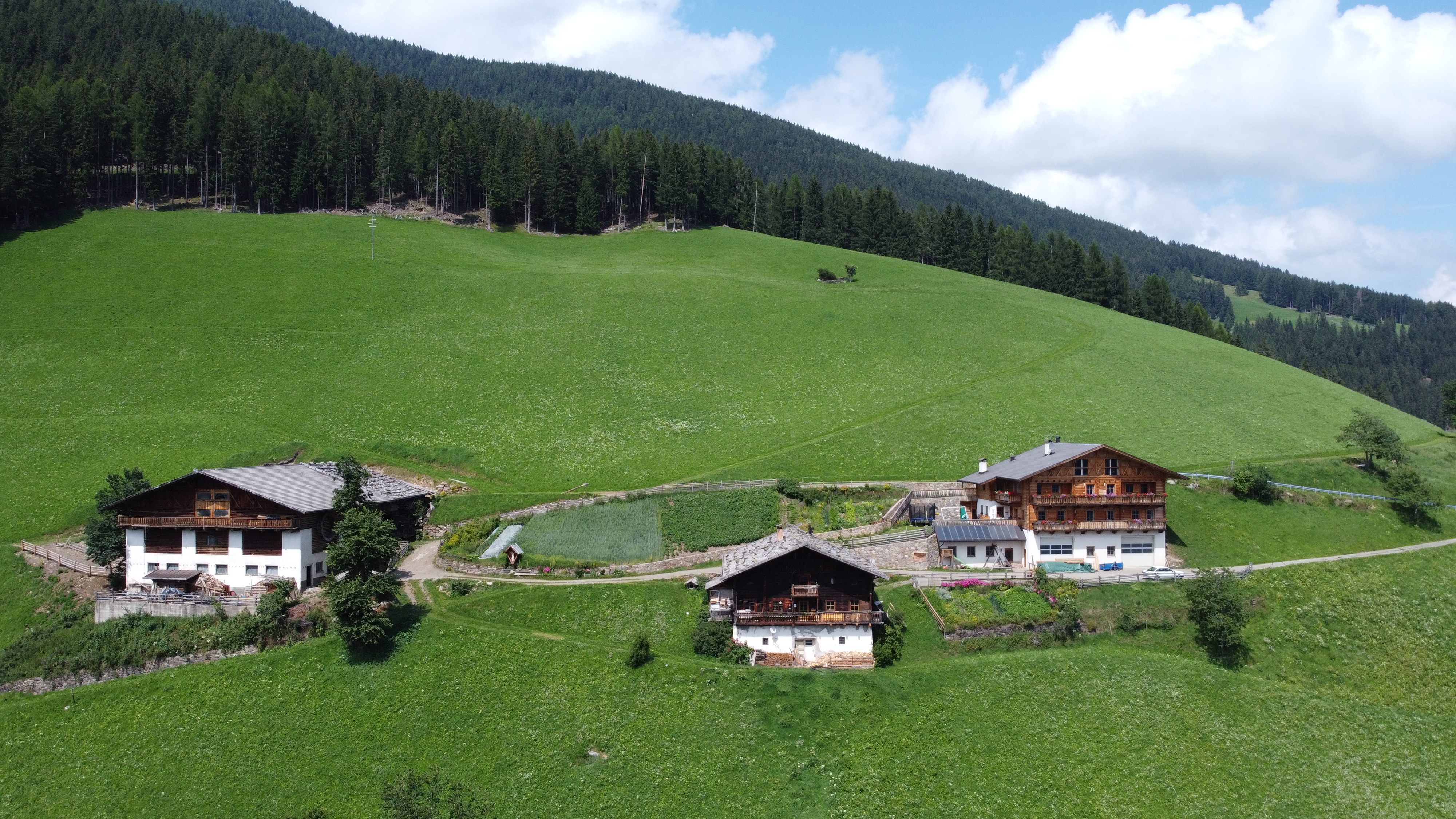 počitnice na kmetiji - Mithilfe beim: Ernten - Hoch über dem Ultental, auf 1.454 Metern, liegt der Ortlerhof der Familie Staffler. Angekommen auf unserem Bauernhof, umgeben von grünen Wiesen und Nadelwäldern, können Sie klare Luft einatmen und die Bergwelt genießen. - Ortlerhof im Ultental