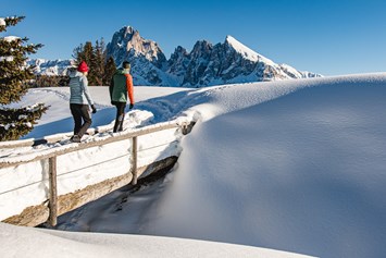 Ferien Bauernhof: Traumhafte Landschaft. Faszinierende Stille. Eine Wohltat!
Winterwandern in Südtirol: Die Dolomiten locken.
Die schönsten Winter-Wandertouren in den Dolomiten.
Über 60 Kilometer gespurte Winterwanderwege führen zu den schönsten Aussichtspunkten der gesamten Dolomitenregion Seiser Alm. Entdecken Sie die schönsten Wintertouren rund um die Seiser Alm in Südtirol.

Alle Winterwanderwege auf der Seiser Alm können außerdem als Schneeschuhwanderwege genutzt werden. - Binterhof