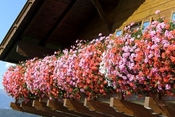 Ferien Bauernhof: Liebevoll dekorierte Balkone am Binterhof - Binterhof