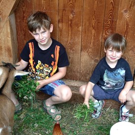 Ferien Bauernhof: Streichelzoo für Kinder - Binterhof