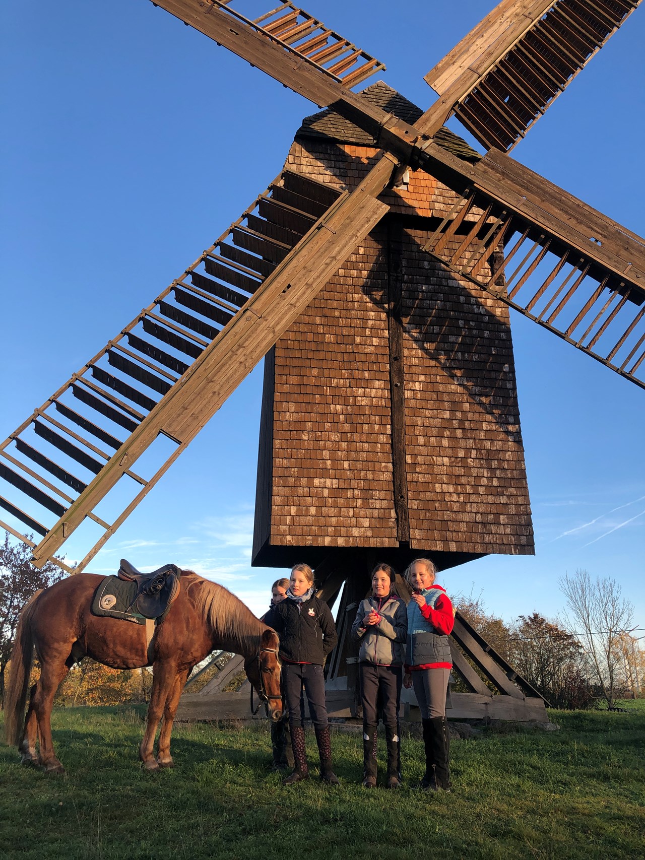 Reiterhof Dammkrug Güssefeld Destinations Moulin à poteaux Jeetze