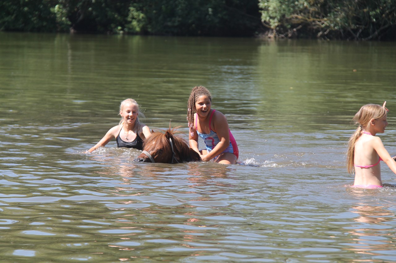 Reiterhof Dammkrug Güssefeld Destinations Nager dans le lac