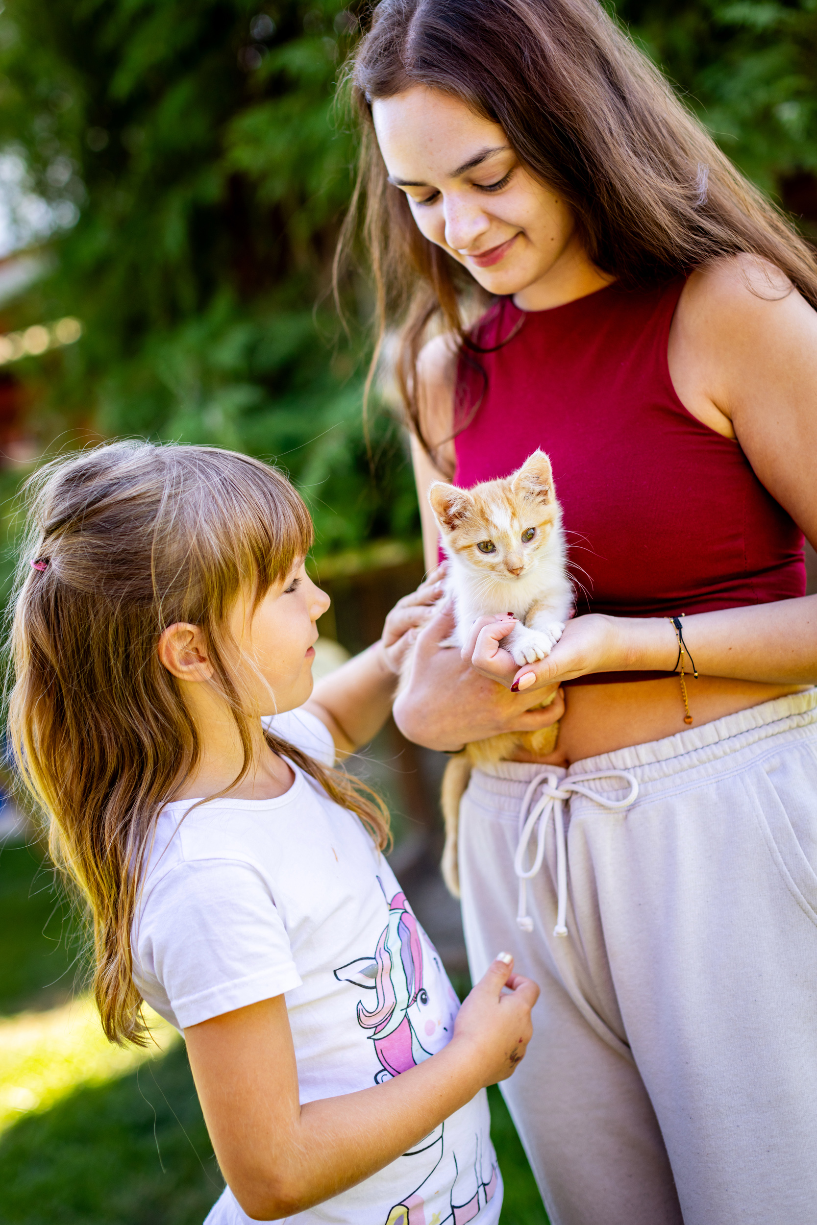 Ferien Bauernhof: Ferienhof Wolschendorf
