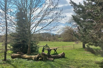 Ferien Bauernhof: Grillplatz - Gut Friedenthal