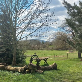 Ferien Bauernhof: Grillplatz - Gut Friedenthal