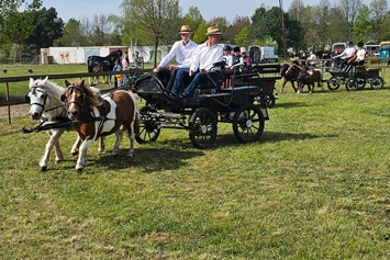 Ferien Bauernhof: Haflingerhof Noack