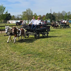 Ferien Bauernhof: Haflingerhof Noack