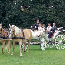 Ferien Bauernhof: Haflingerhof Noack