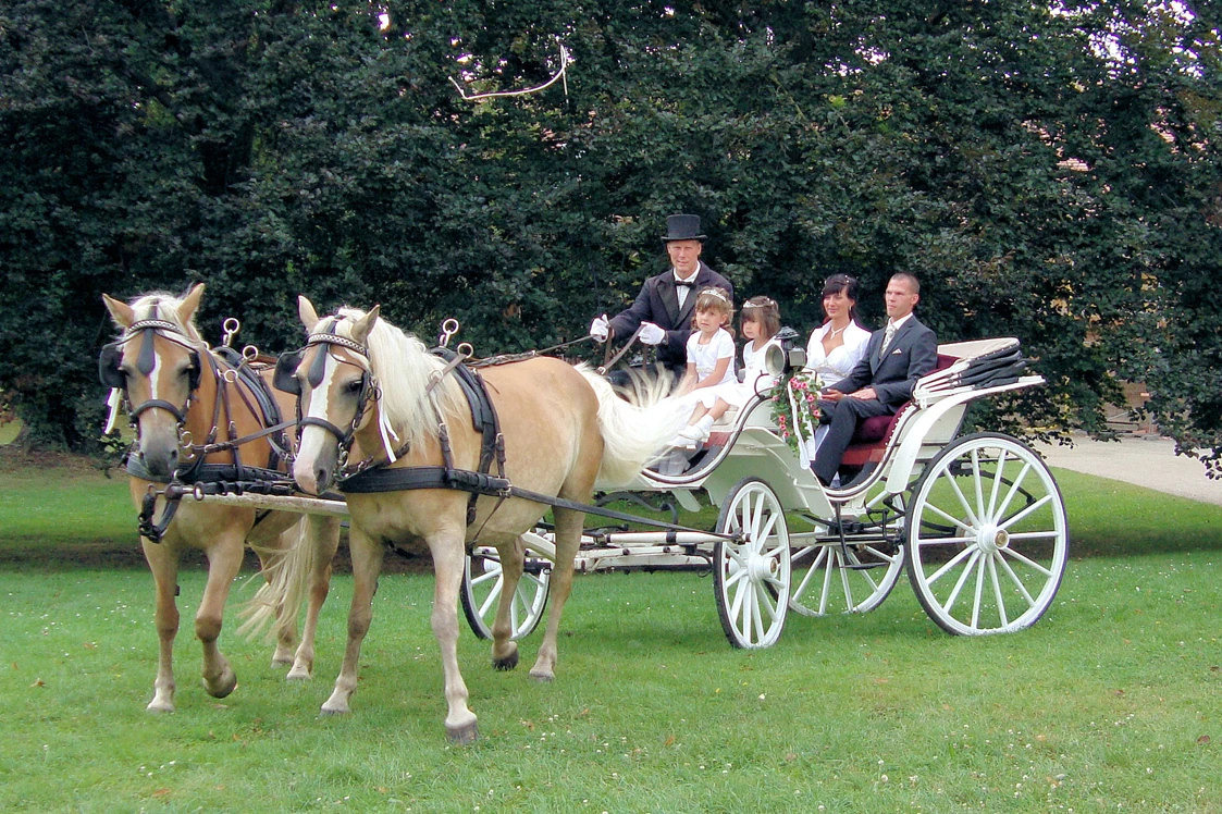 Ferien Bauernhof: Haflingerhof Noack