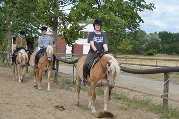 Ferien Bauernhof: Reitunterircht - Haflingerhof Noack