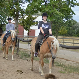 Ferien Bauernhof: Reitunterircht - Haflingerhof Noack