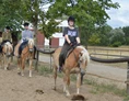 Ferien Bauernhof: Reitunterircht - Haflingerhof Noack