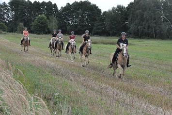 Ferien Bauernhof: Ausritte - Haflingerhof Noack