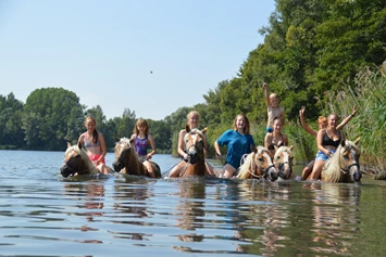 Ferien Bauernhof: Baden Reiten - Haflingerhof Noack