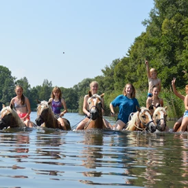 Ferien Bauernhof: Baden Reiten - Haflingerhof Noack