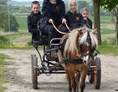Ferien Bauernhof: Ponykutschfahrten - Bernsteinland Hirschburg