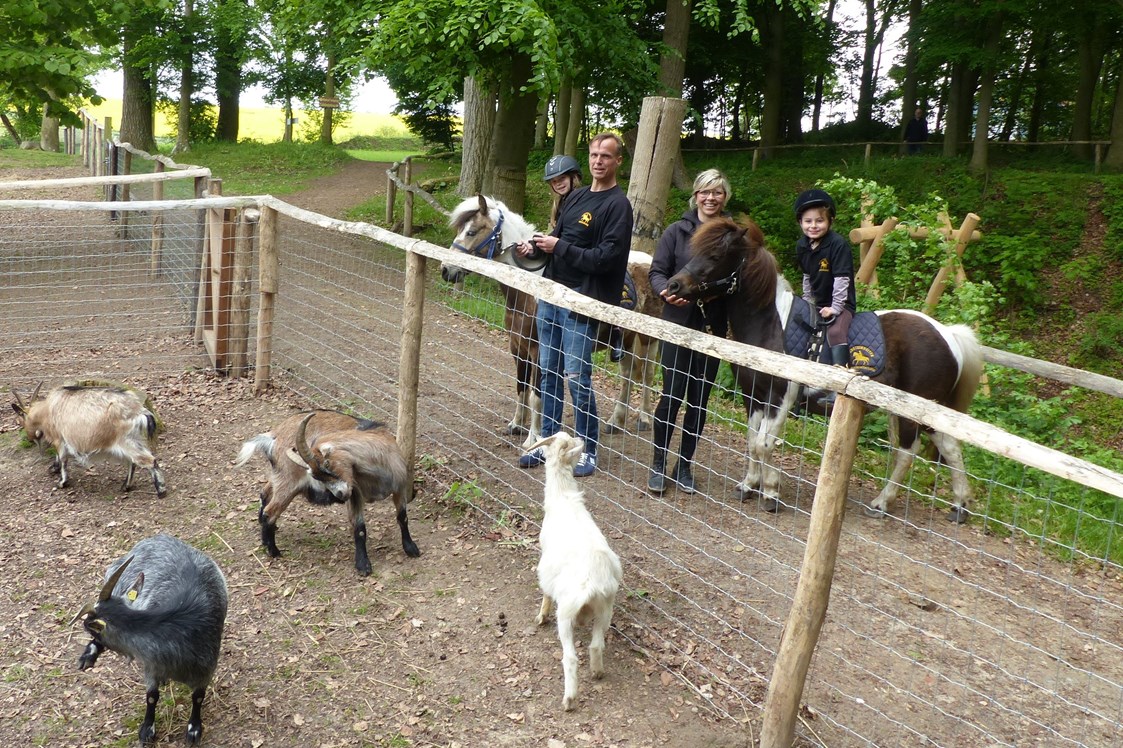 Ferien Bauernhof: Ponyreiten und Streichelzoo - Bernsteinland Hirschburg